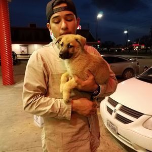 Meet your Posher, Peter