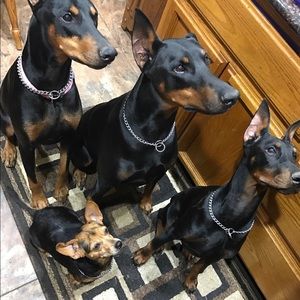 Meet your Posher, Christina