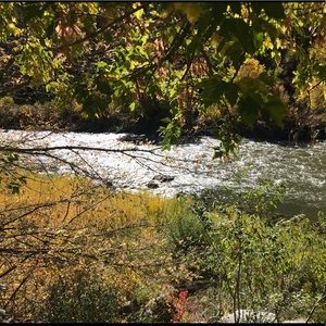 Meet your Posher, Kenzi