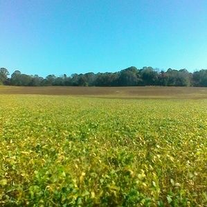 Meet your Posher, Conrad