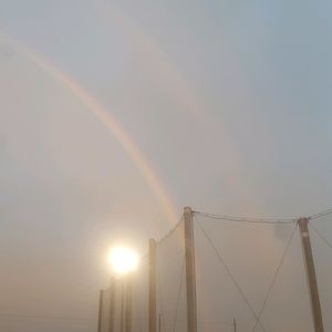 Meet your Posher, Lucy