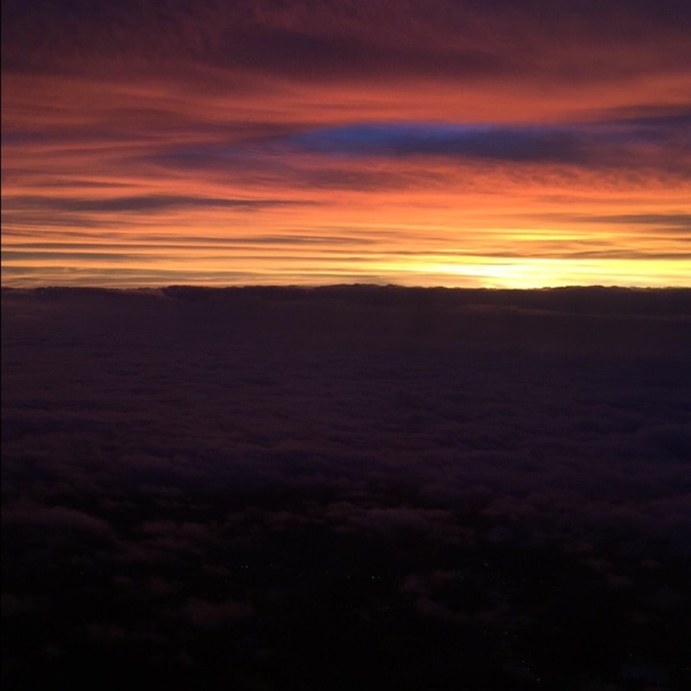 Meet your Posher, Lily