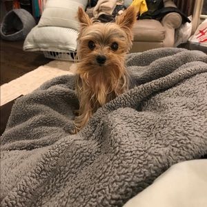 Meet your Posher, Sherrie