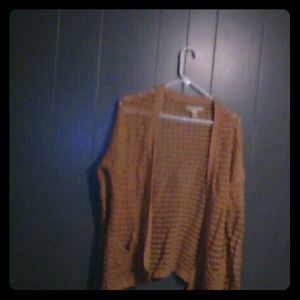 cardigan