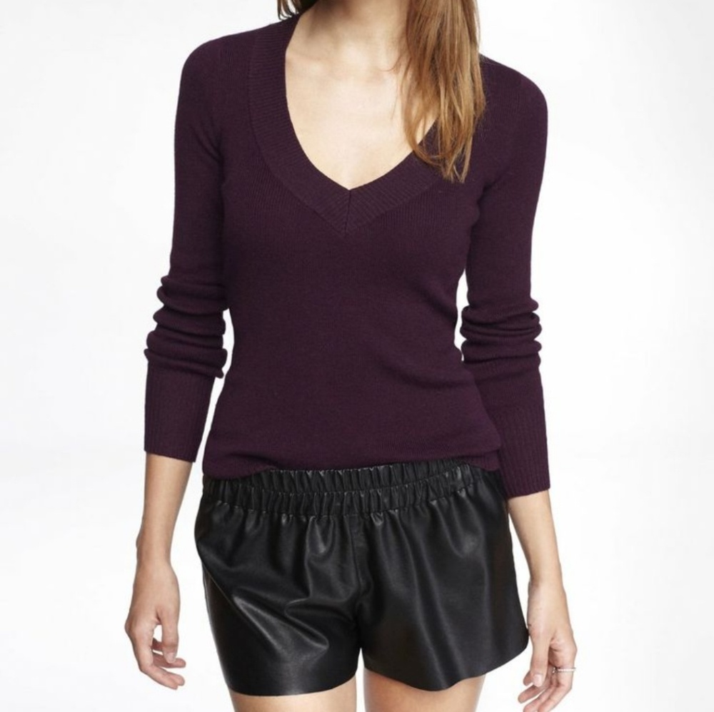 Express Fitted V-Neck Sweater