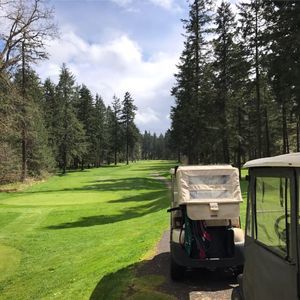 Meet your Posher, Mikey