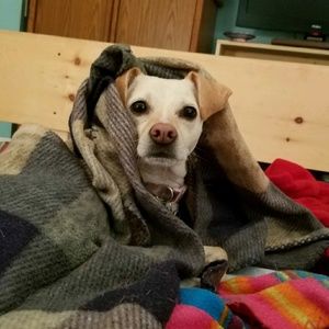 Meet your Posher, Jodi