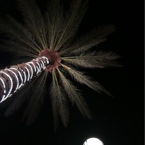 Meet your Posher, Greg