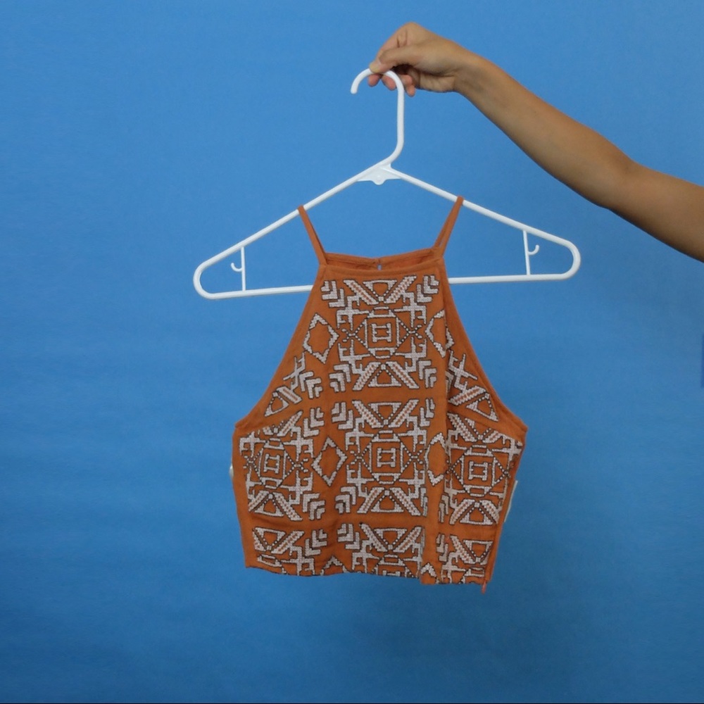 Abercrombie and Fitch Embroidered Crop Top