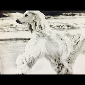 Meet your Posher, Iris