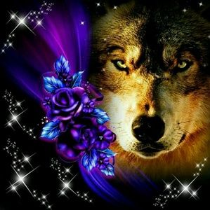 Meet your Posher, Mandy