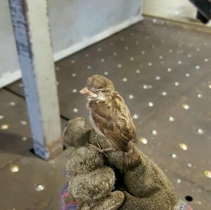 Meet your Posher, Justin