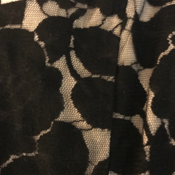 Nude & Black Lace Fit and Flare Dress - Picture 4 of 4