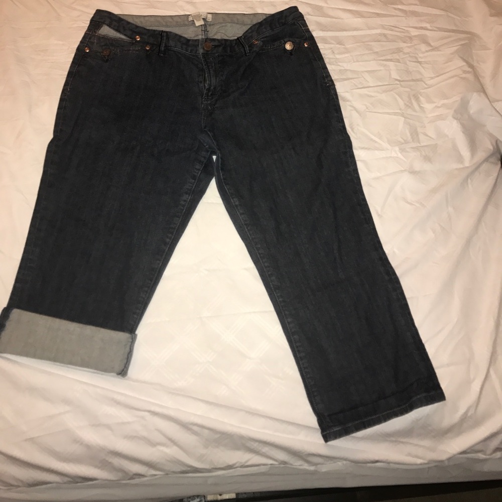Lane Bryant (Venezia) Jeans
