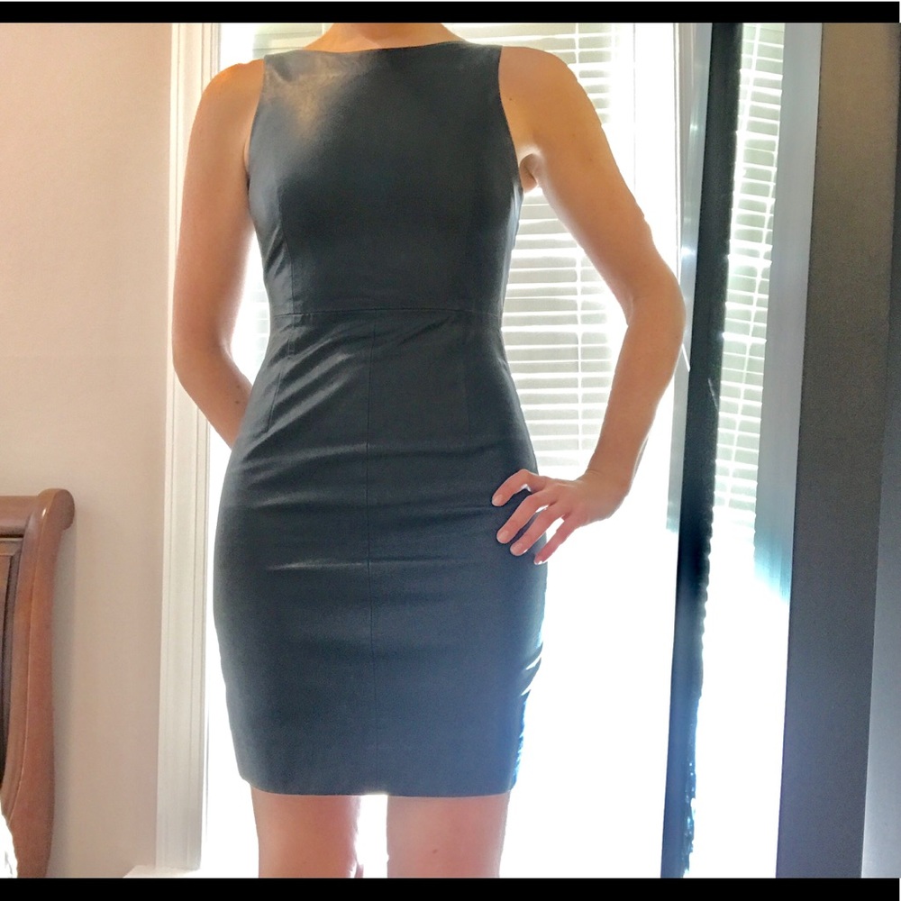 Zara Leather Dress