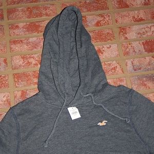 Men's Hollister Hoodie Pullover - NWT