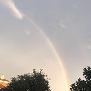 Meet your Posher, Maia