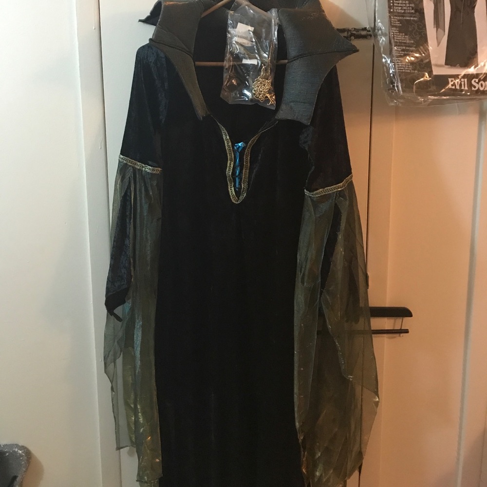 Evil Sorceress Costume