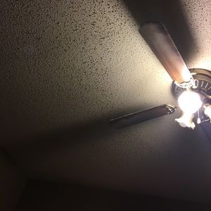 Meet your Posher, Darnell