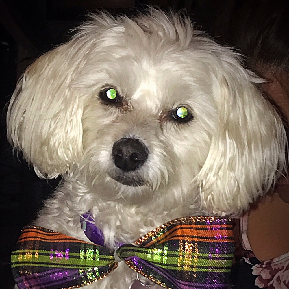 Meet your Posher, Heather