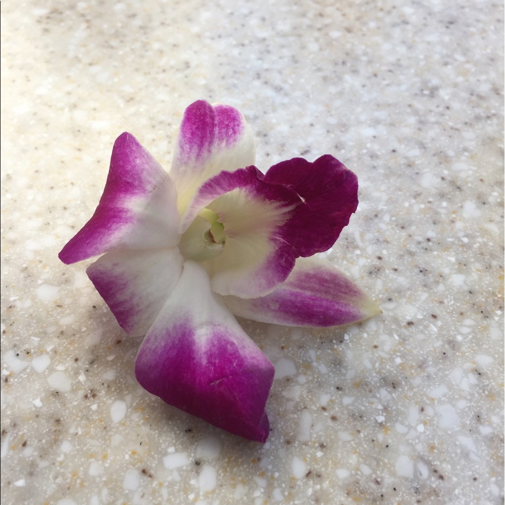 Meet your Posher, Cat