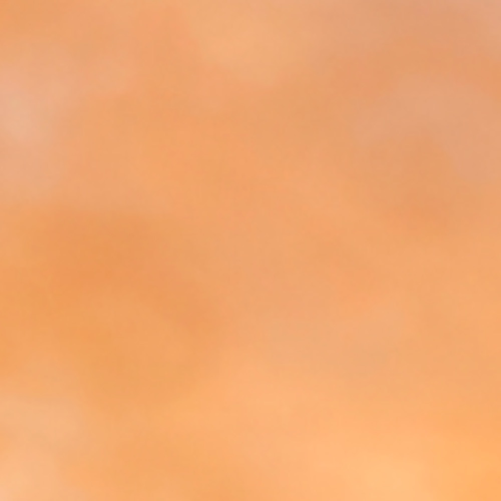 Meet your Posher, Johanna