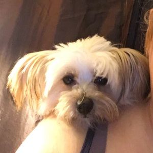 Meet your Posher, Taryn