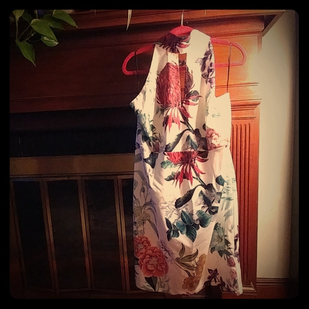 Floral print on white Suzanne Betro dress NwT