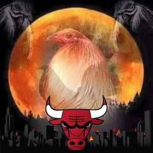 Meet your Posher, Jones