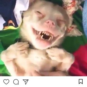 Meet your Posher, Jacob