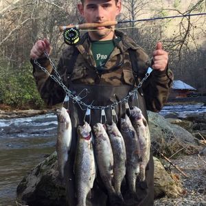 Meet your Posher, Benjamin