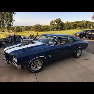 Meet your Posher, Josh