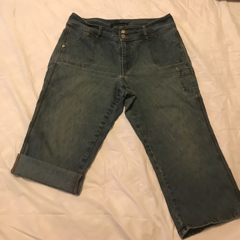 Lane Bryant (Venezia) Jeans