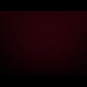 Meet your Posher, Dylan