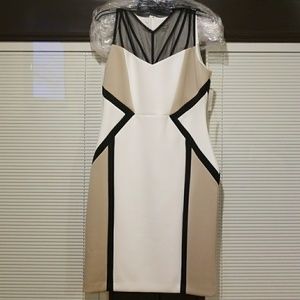 Calvin Klein Gorgeous New Dress