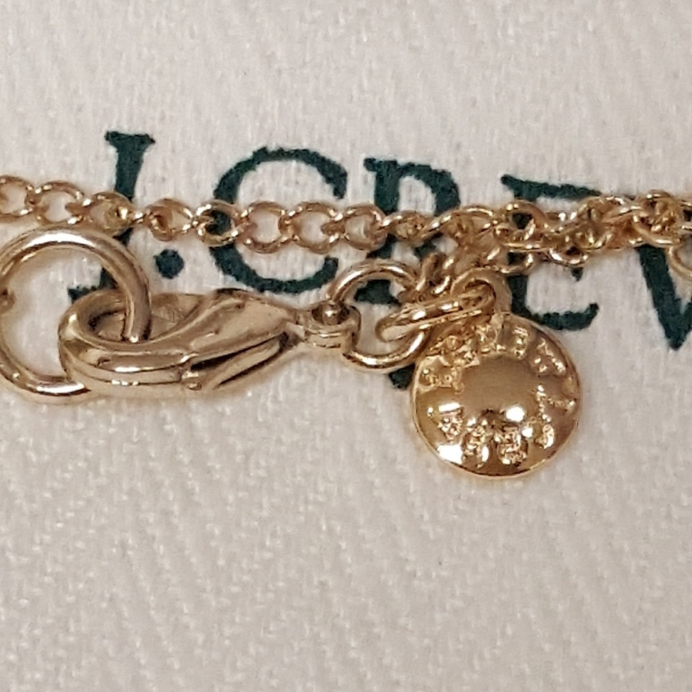 🌷Last 1🌷J. CREW factory feathers necklace pend - Picture 6 of 8