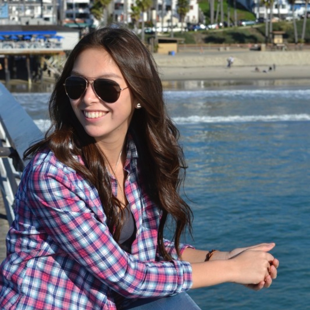 AE Classic Prep Fit Pink Plaid Button Down Shirt