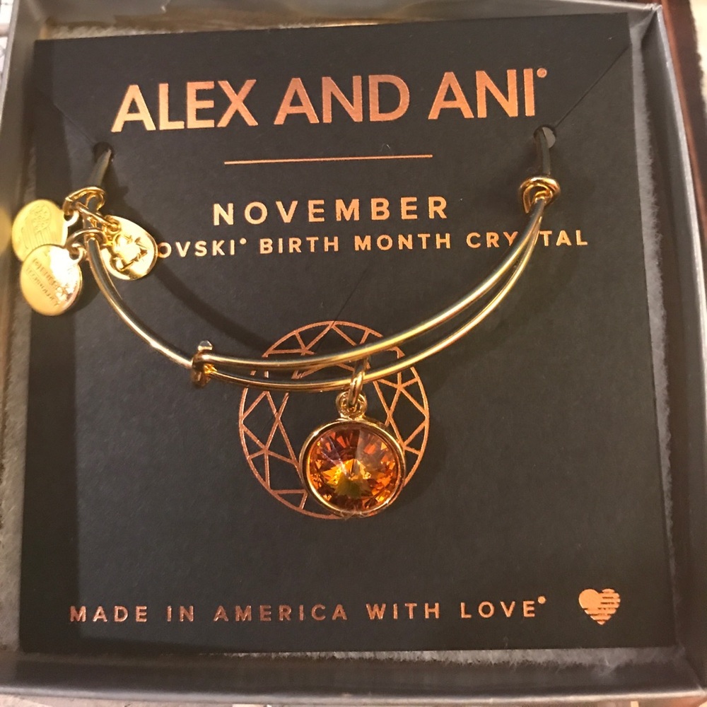 November Alex and Ani bracelet