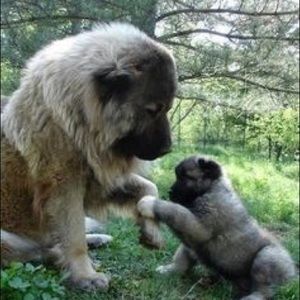 Meet your Posher, Kathy