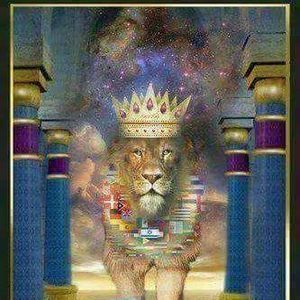 Meet your Posher, Apostle t. lynn