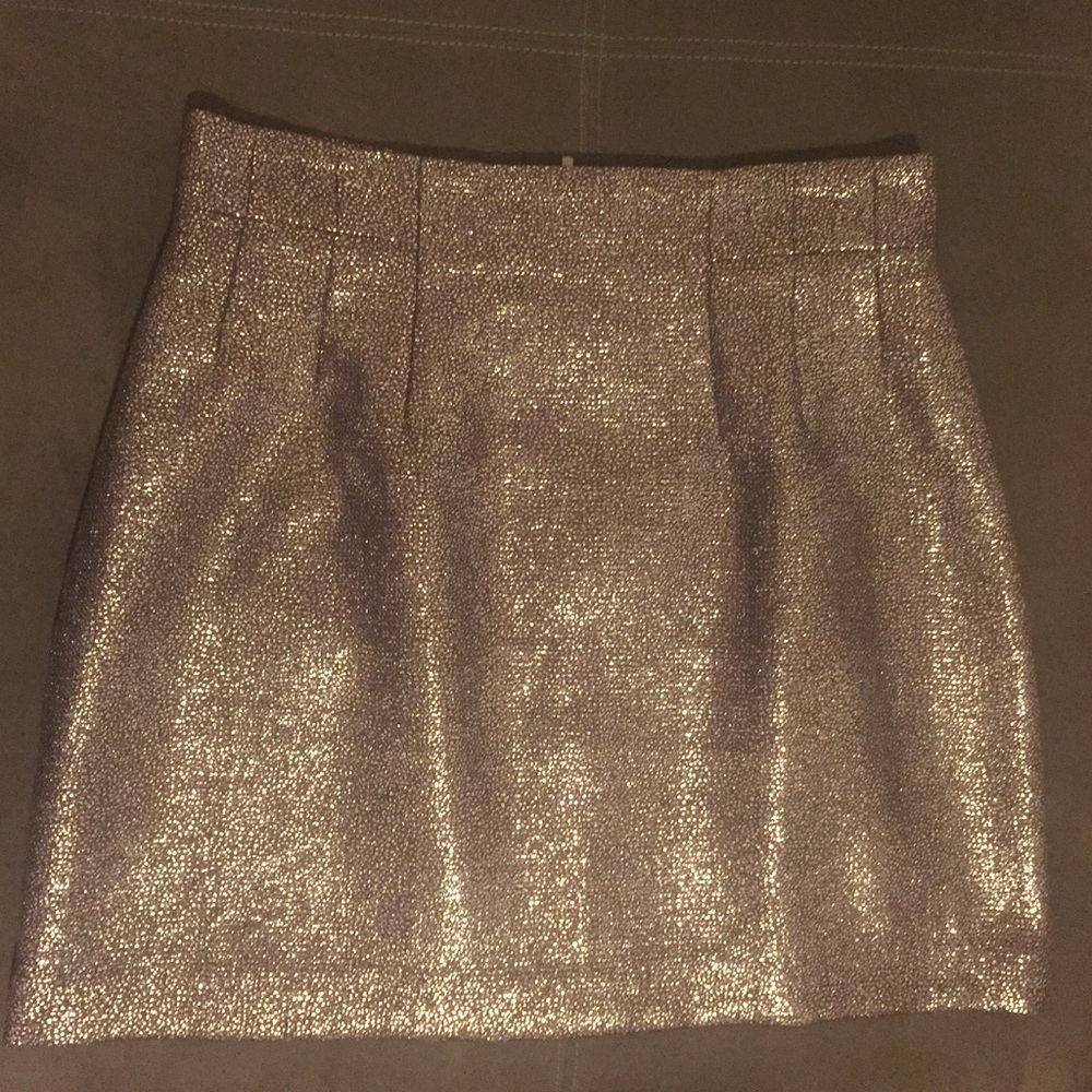 Metallic Mink Skirt