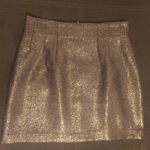 Metallic Mink Skirt