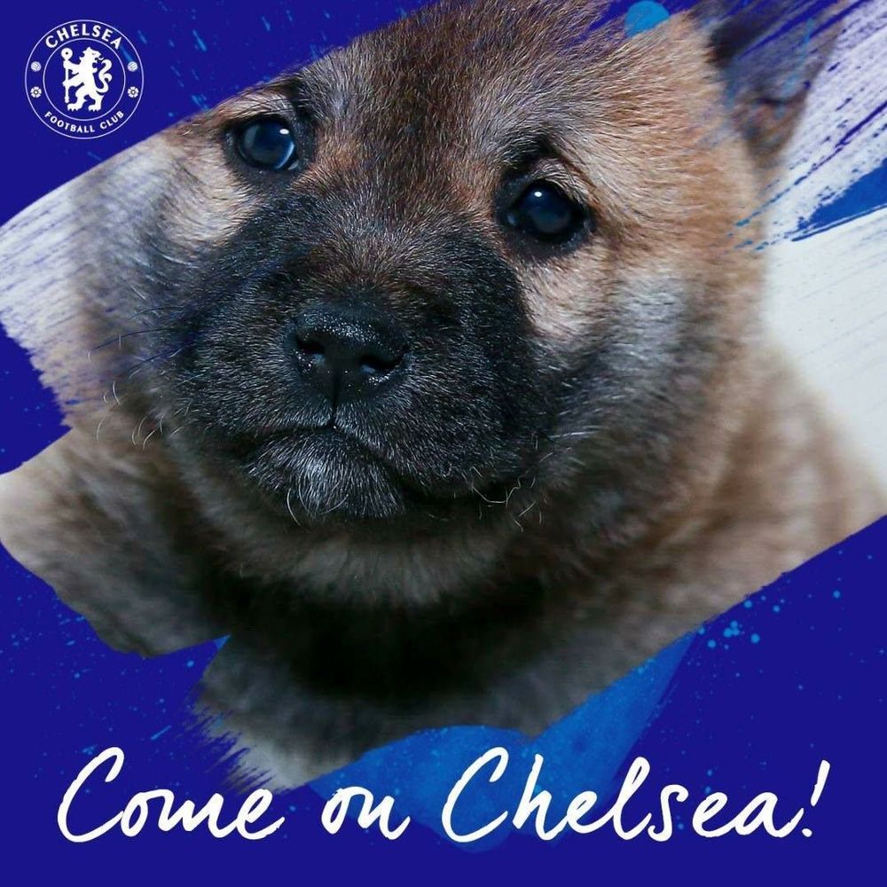 Meet your Posher, Moises