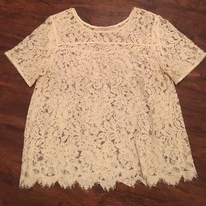 LOFT lace top