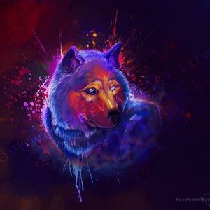 Meet your Posher, Devon