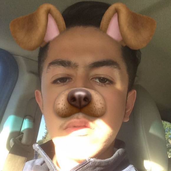 Meet your Posher, Armando - Picture 1 of 1