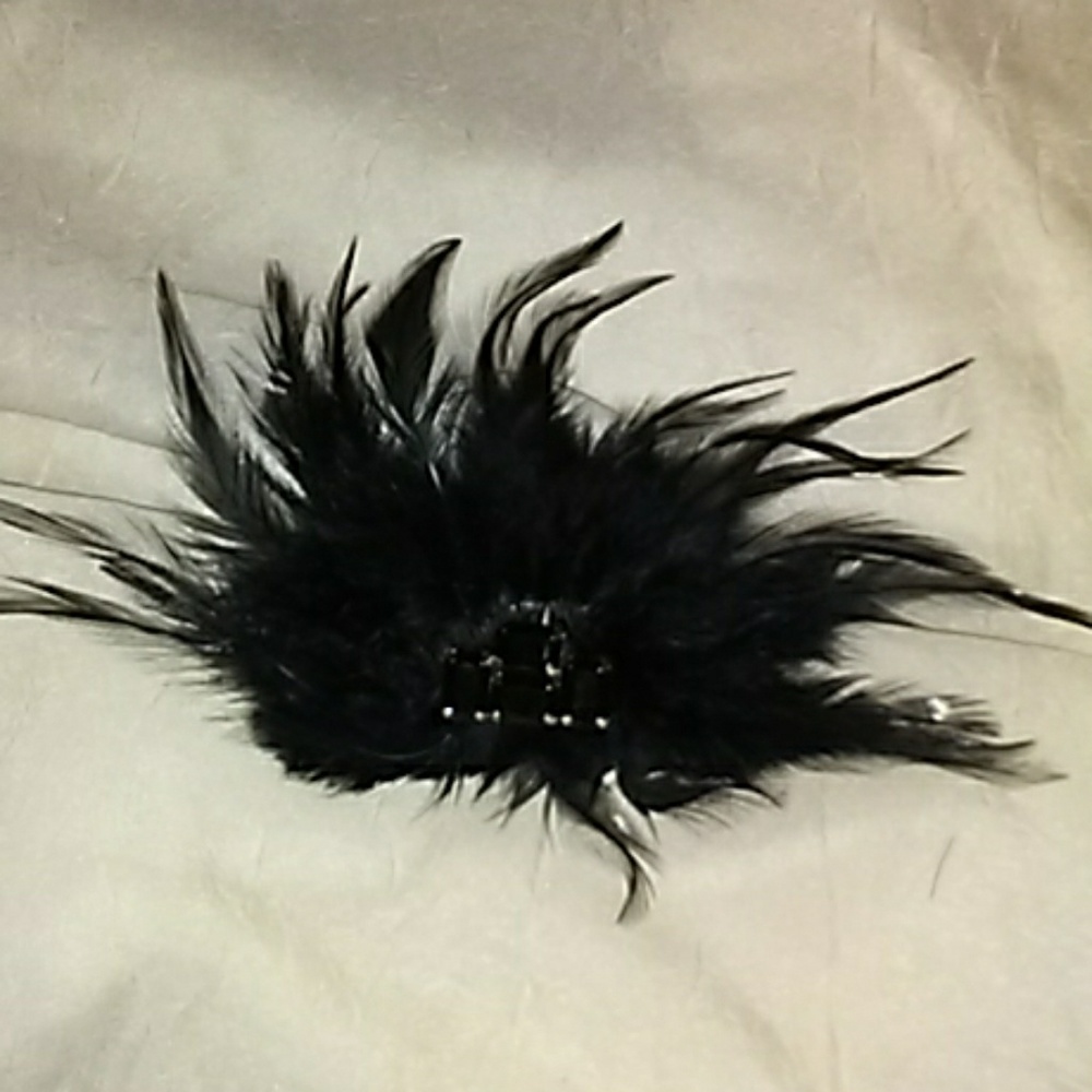 Jeweled Black Feather Hairpiece
