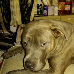 Meet your Posher, Chanelle