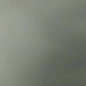 Meet your Posher, Trevor