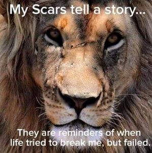 Meet your Posher, Lessie